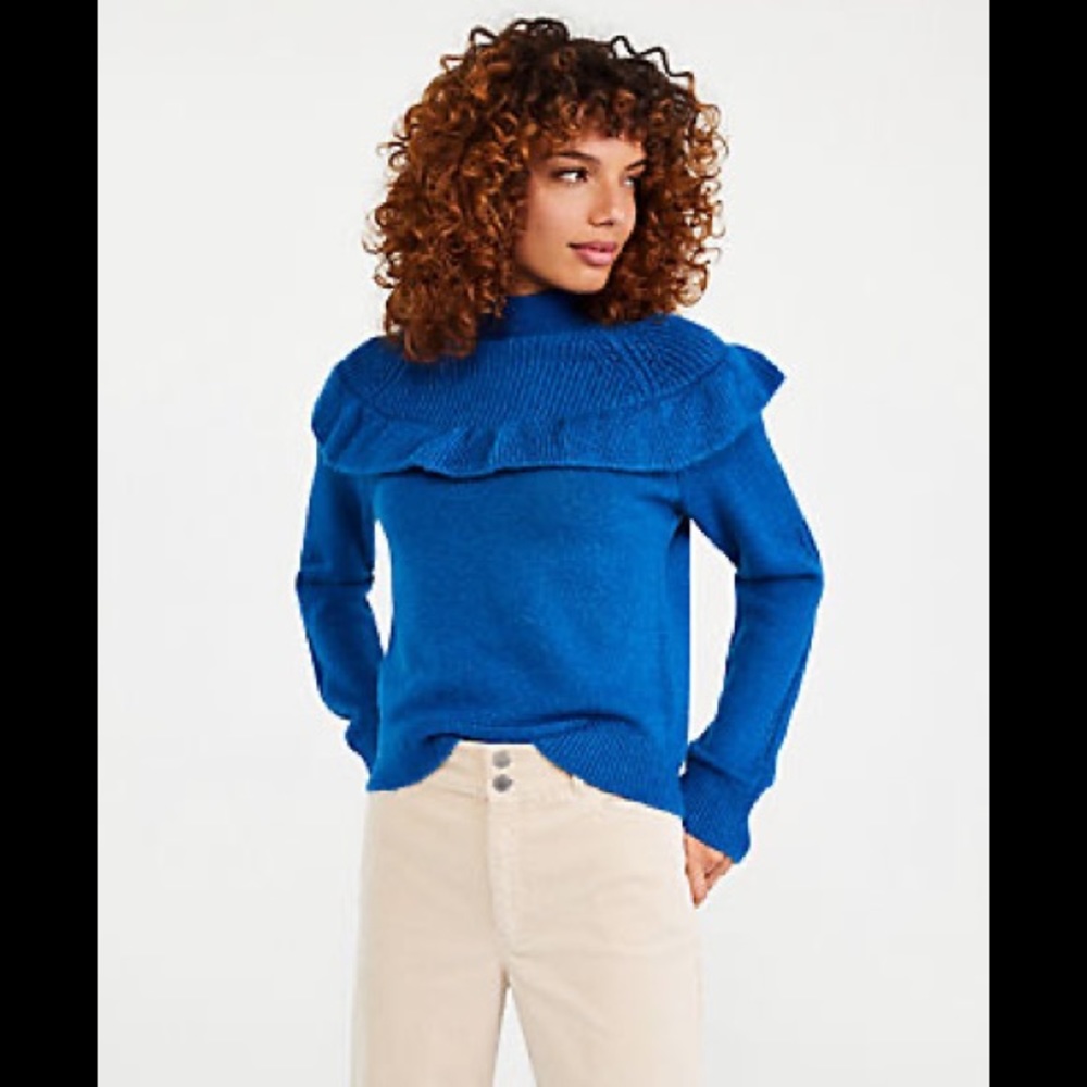 Ann Taylor Sweater NWT
